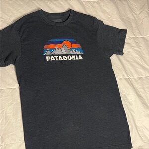 Patagonia Men's Dark Gray Tee with Mountain Graphic